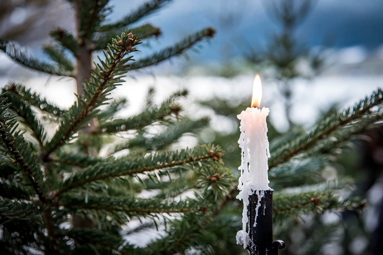 photo of the Christmas collection "snow candle". Picture of a melting candle in a pine tree forest while it's snowing.